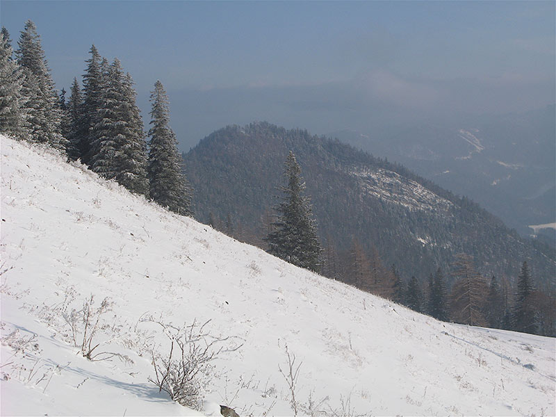 Brandsttterkogel